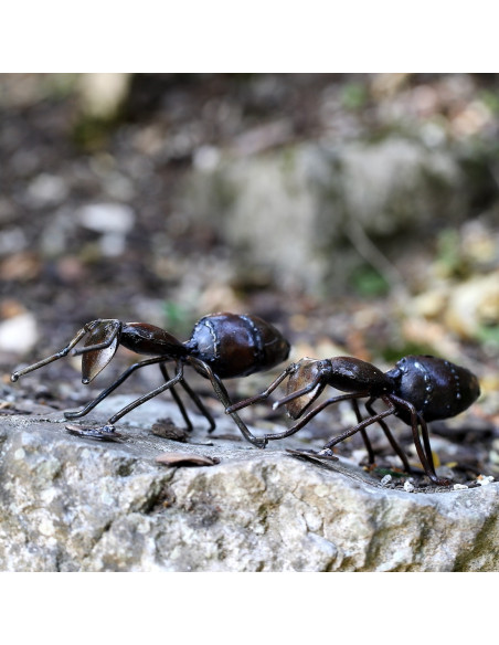 Fourmi murale en métal, petit modèle deco jardin