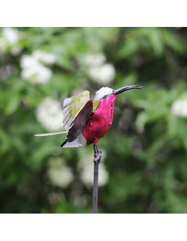 Tuteur Guêpier d'Afrique-Tuteurs oiseaux