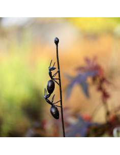 Tuteur 2 fourmis en métal recyclé deco jardin