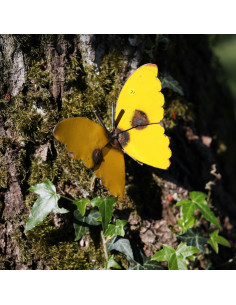 Papillon en métal recyclé - jaune deco jardin 2