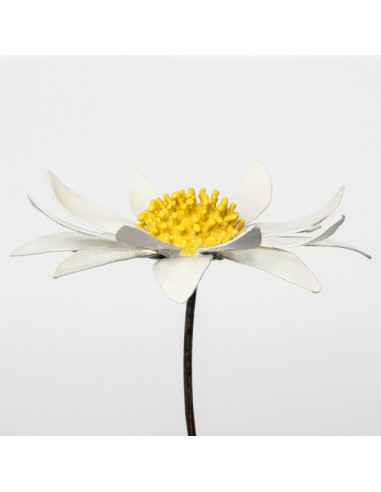 Tuteur fleur de Marguerite-Tuteurs fleurs