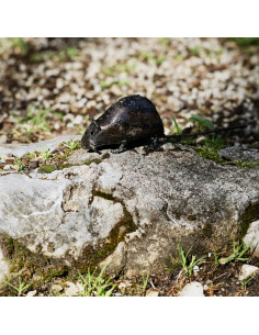 Souris en métal recyclé deco jardin 2