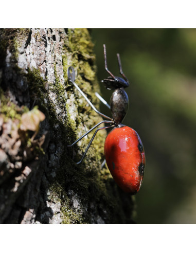 Fourmi murale rouge, grand modèle - métal recyclé-Insectes