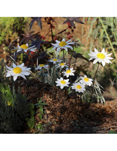 Tuteur fleur de Marguerite grand modèle - métal recyclé deco jardin Tuteur fleur de Marguerite grand modèle - métal recyclé deco jardin