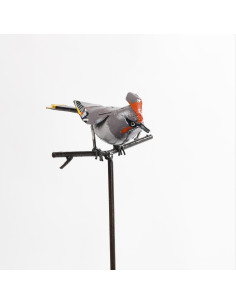 Tuteur Jaseur Boréal - déco jardin deco jardin