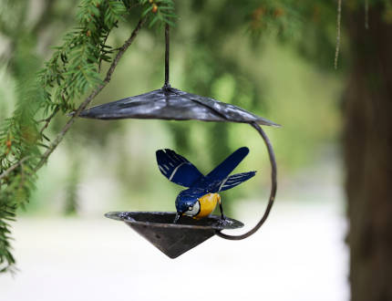 Mangeoire Pour Oiseaux Sur Pied En Forme D'échinacée, 1 Pièce, Extérieur,  Résistant À La Rouille, Art De Jardin, Mangeoire En Métal Avec Support,  Décor Artistique De Cour - Temu France