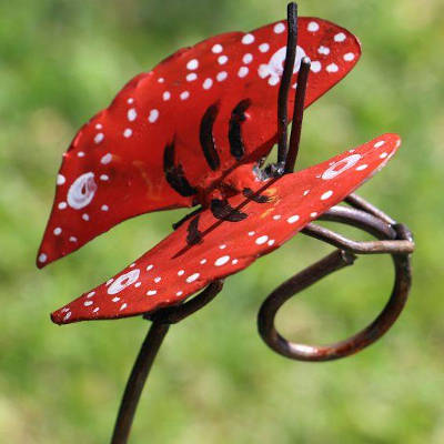 Papillon