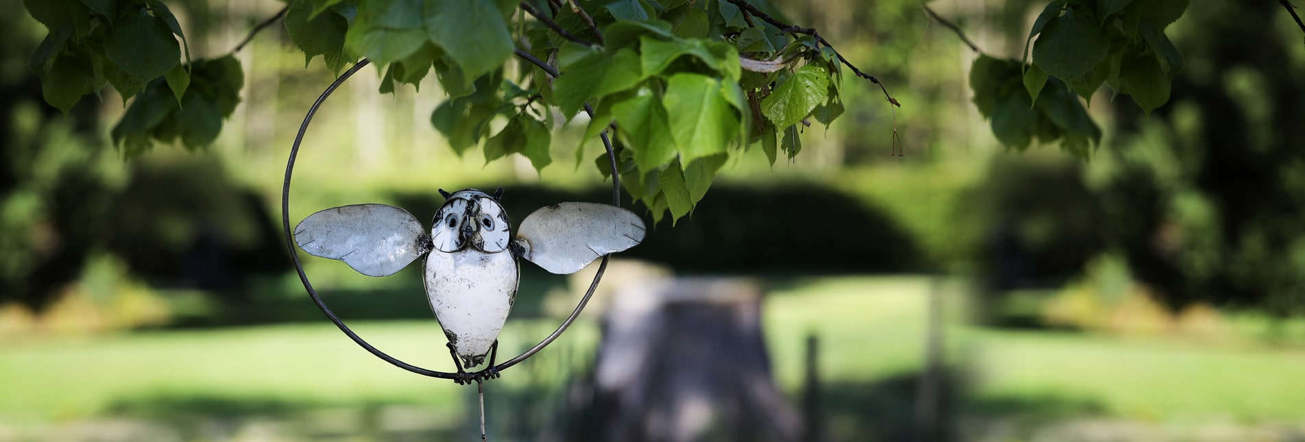 Les Oiseaux De Passage Arc Et Senans