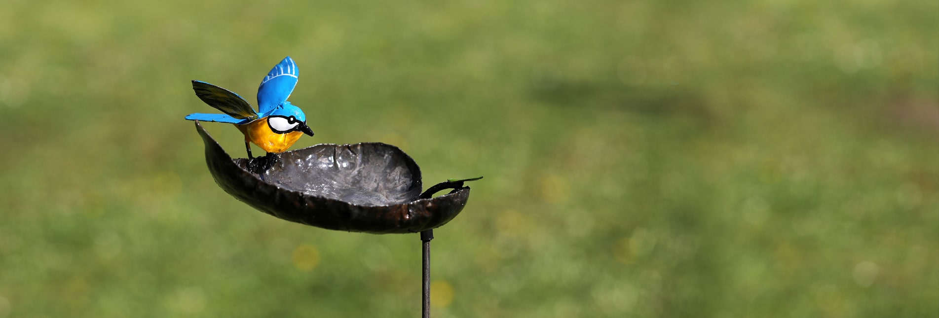Les Oiseaux De Passage Arc Et Senans