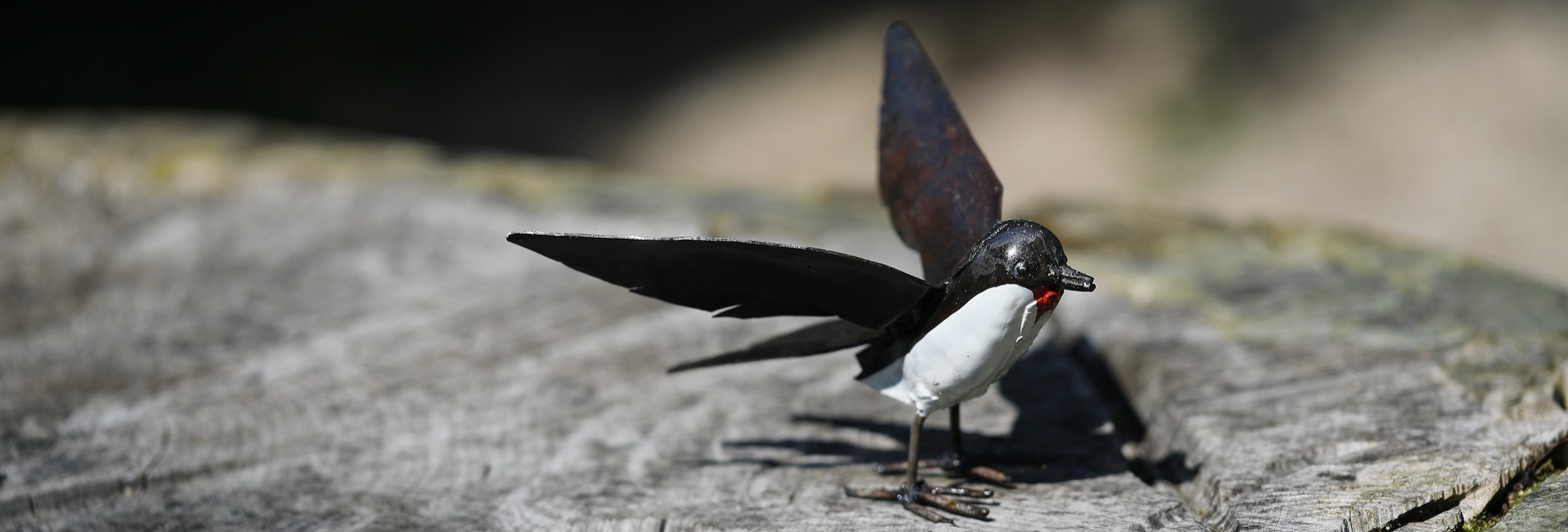 Les Oiseaux De Passage Arc Et Senans